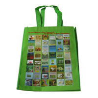 惠州LB11覆膜无纺布广告袋